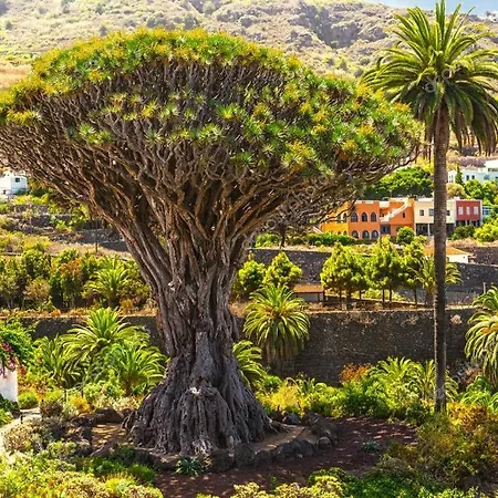Διαμέρισμα Casa Cerca Del Drago